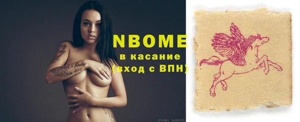 стафф Арсеньев