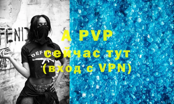 стафф Арсеньев