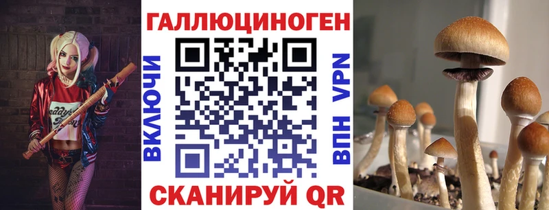 Псилоцибиновые грибы мицелий  OMG ССЫЛКА  дарк нет Telegram  Безенчук 